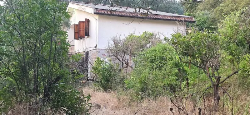 Independent Villa with Garden Real Estate Agency Villaggio delle Mimose