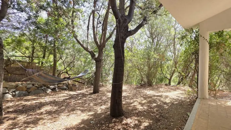 Real Estate Agency Sardinia