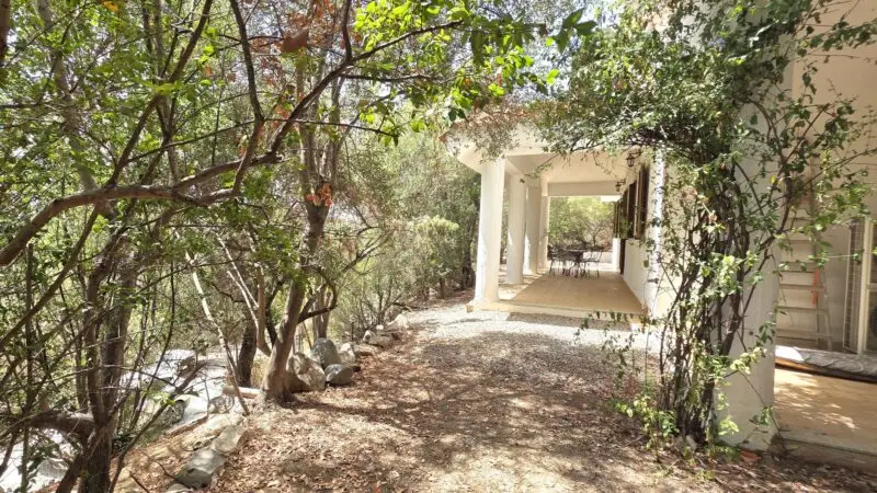 Real Estate Agency Sardinia