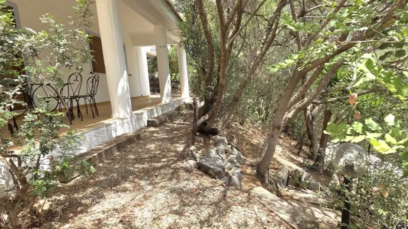 Real Estate Agency Sardinia