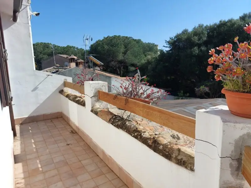 Real Estate Agency Sardinia