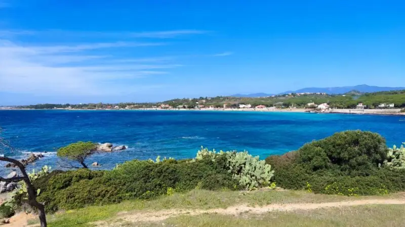 Real Estate Agency Sardinia