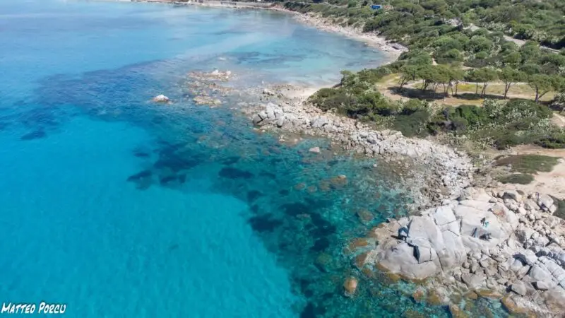 Real Estate Agency Sardinia