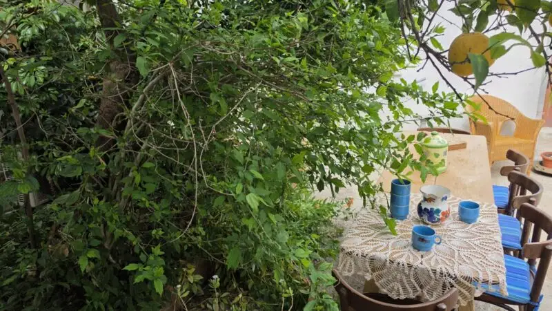 Real Estate Agency Sardinia
