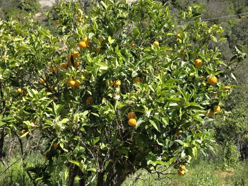 Agenzia Immobiliare Cagliari