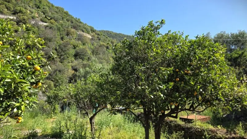 Agenzia Immobiliare Cagliari