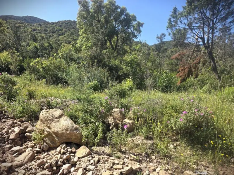 Agenzia Immobiliare Cagliari