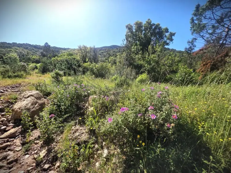 Agenzia Immobiliare Cagliari