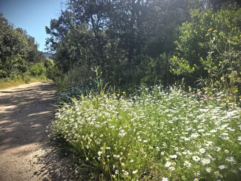 Agenzia Immobiliare Cagliari