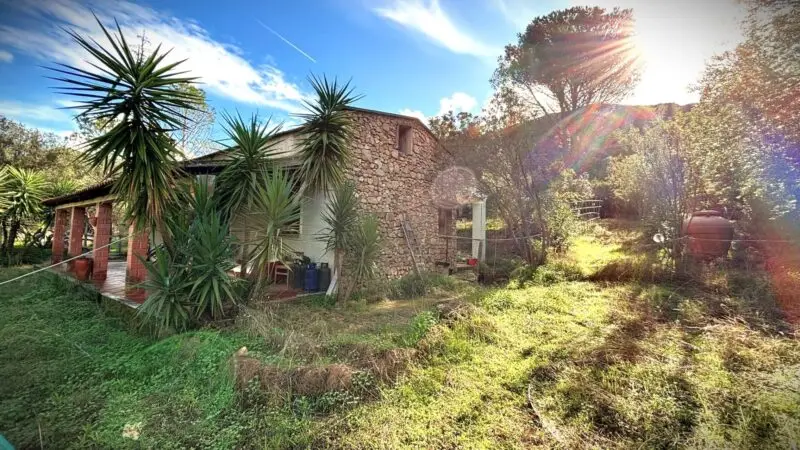 Real Estate Agency San Gregorio