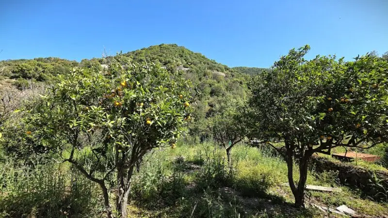 Agenzia Immobiliare Cagliari