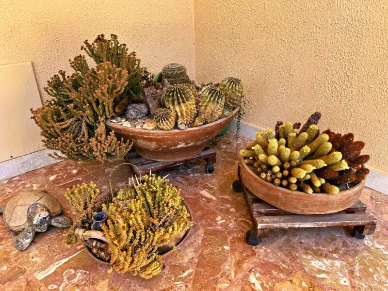 Real Estate Agency Sardinia