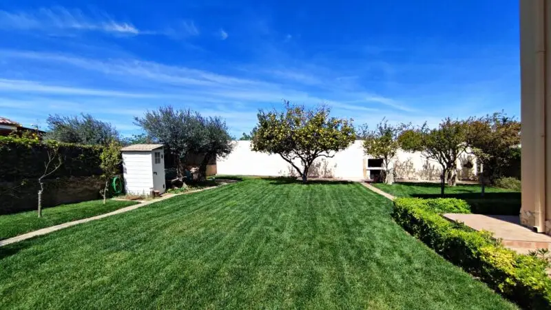 Real Estate Agency Sardinia