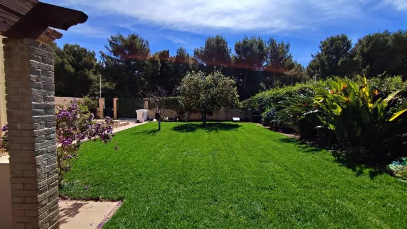 Real Estate Agency Sardinia