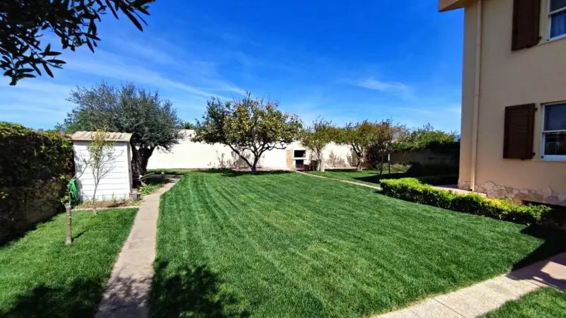 Real Estate Agency Sardinia