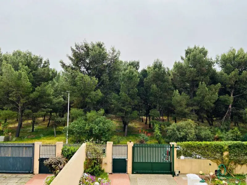 Real Estate Agency Sardinia