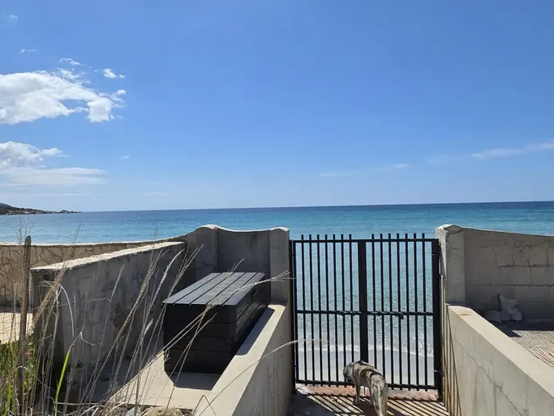 Real Estate Agency Sardinia